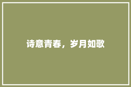 诗意青春，岁月如歌