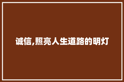 诚信,照亮人生道路的明灯