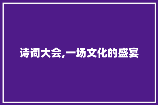 诗词大会,一场文化的盛宴