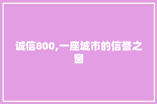 诚信800,一座城市的信誉之窗