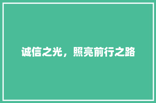 诚信之光，照亮前行之路