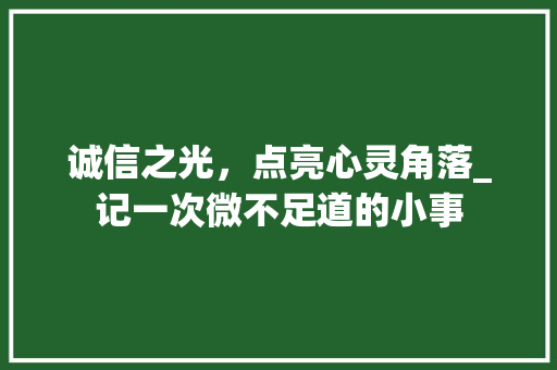 诚信之光，点亮心灵角落_记一次微不足道的小事