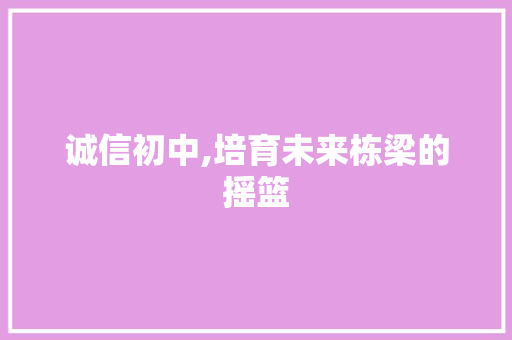 诚信初中,培育未来栋梁的摇篮