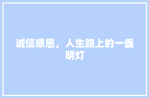 诚信感恩，人生路上的一盏明灯 报告范文