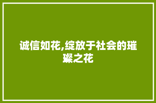 诚信如花,绽放于社会的璀璨之花