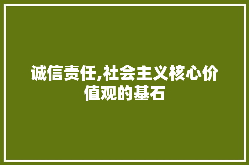 诚信责任,社会主义核心价值观的基石