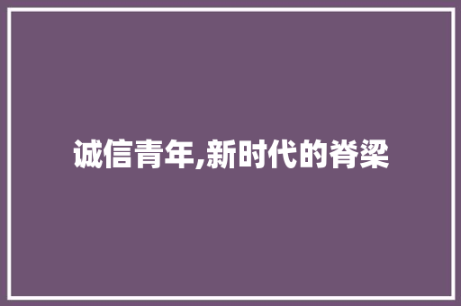 诚信青年,新时代的脊梁