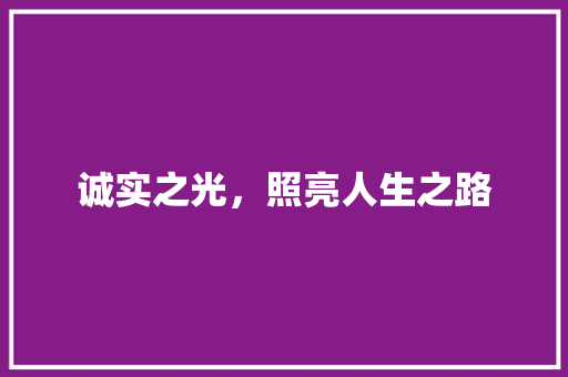 诚实之光，照亮人生之路