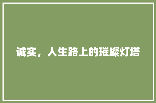 诚实，人生路上的璀璨灯塔