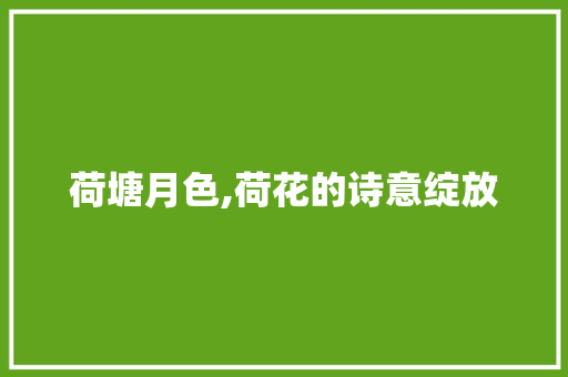 荷塘月色,荷花的诗意绽放