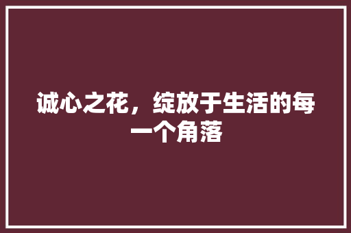 诚心之花，绽放于生活的每一个角落