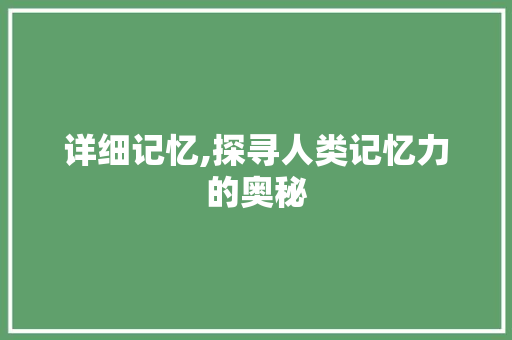 详细记忆,探寻人类记忆力的奥秘