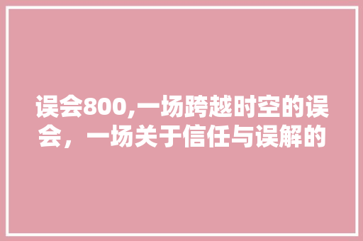 误会800,一场跨越时空的误会，一场关于信任与误解的深刻反思