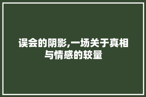 误会的阴影,一场关于真相与情感的较量