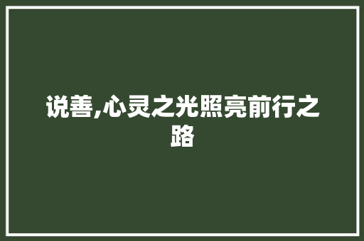 说善,心灵之光照亮前行之路