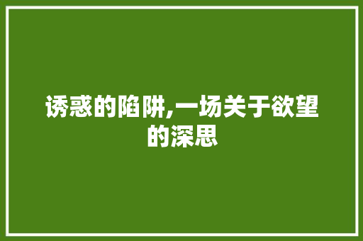 诱惑的陷阱,一场关于欲望的深思