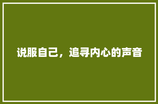 说服自己，追寻内心的声音