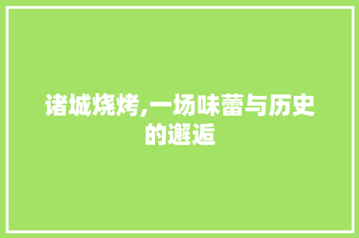 诸城烧烤,一场味蕾与历史的邂逅