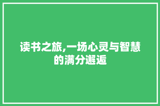 读书之旅,一场心灵与智慧的满分邂逅