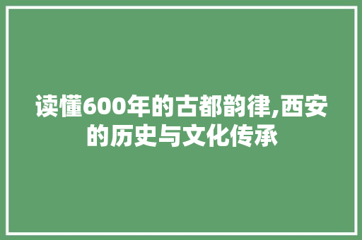 读懂600年的古都韵律,西安的历史与文化传承