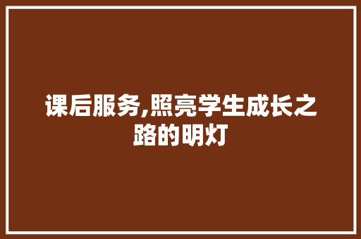 课后服务,照亮学生成长之路的明灯