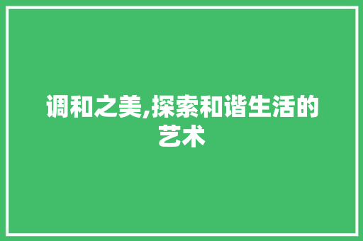 调和之美,探索和谐生活的艺术