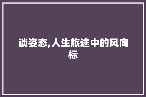 谈姿态,人生旅途中的风向标