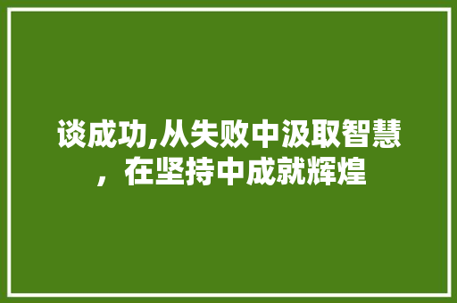 谈成功,从失败中汲取智慧，在坚持中成就辉煌