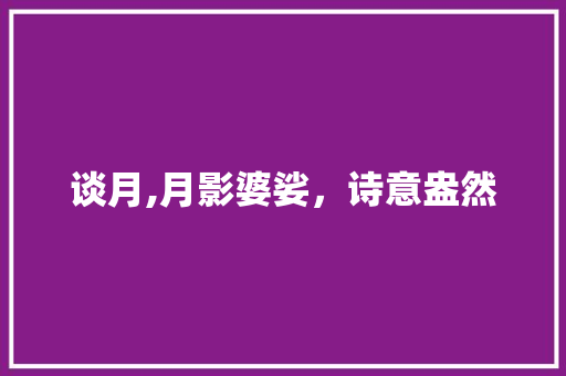 谈月,月影婆娑，诗意盎然