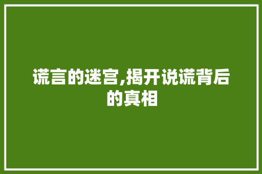 谎言的迷宫,揭开说谎背后的真相