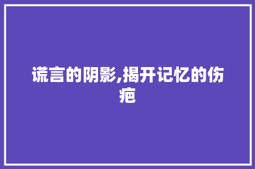 谎言的阴影,揭开记忆的伤疤