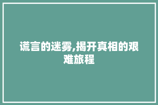 谎言的迷雾,揭开真相的艰难旅程