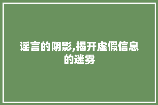 谣言的阴影,揭开虚假信息的迷雾