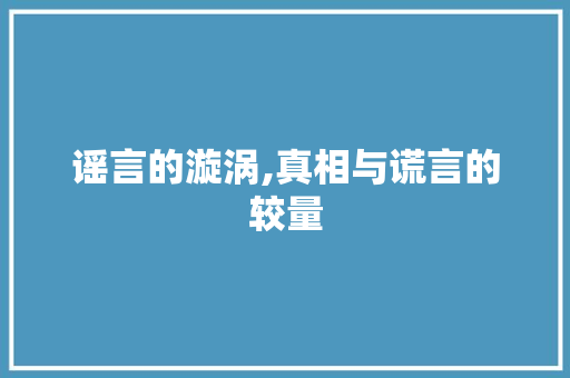 谣言的漩涡,真相与谎言的较量