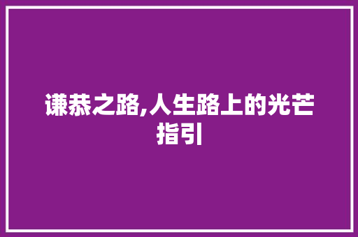 谦恭之路,人生路上的光芒指引