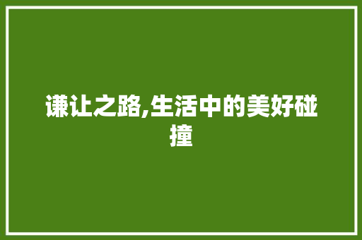 谦让之路,生活中的美好碰撞