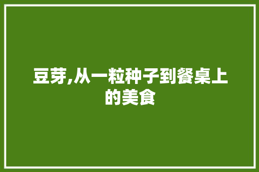 豆芽,从一粒种子到餐桌上的美食