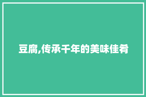 豆腐,传承千年的美味佳肴