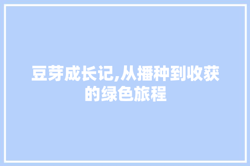 豆芽成长记,从播种到收获的绿色旅程