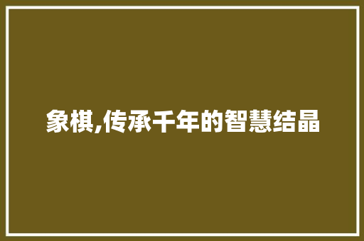 象棋,传承千年的智慧结晶