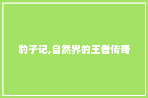 豹子记,自然界的王者传奇