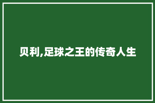 贝利,足球之王的传奇人生