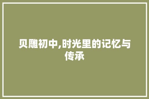 贝雕初中,时光里的记忆与传承