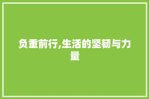 负重前行,生活的坚韧与力量