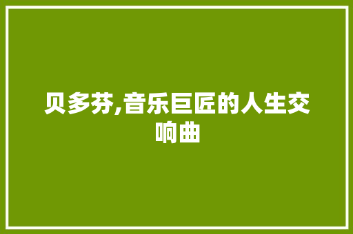 贝多芬,音乐巨匠的人生交响曲