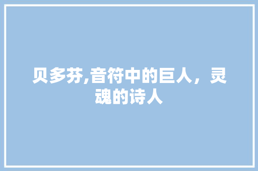 贝多芬,音符中的巨人，灵魂的诗人