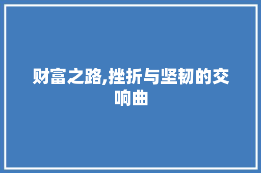 财富之路,挫折与坚韧的交响曲