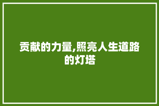 贡献的力量,照亮人生道路的灯塔