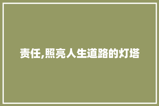 责任,照亮人生道路的灯塔