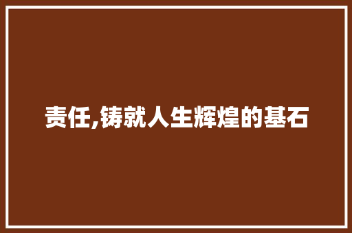 责任,铸就人生辉煌的基石